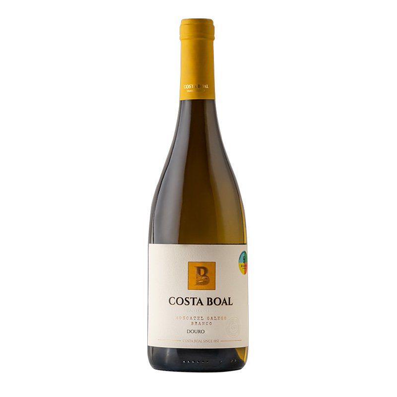 Vinho Branco Costa Boal – Galego