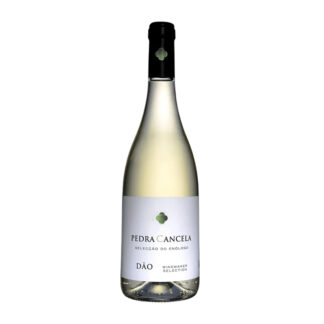 Vinho Branco Pedra Cancela – Seleção do Enólogo – 75cl